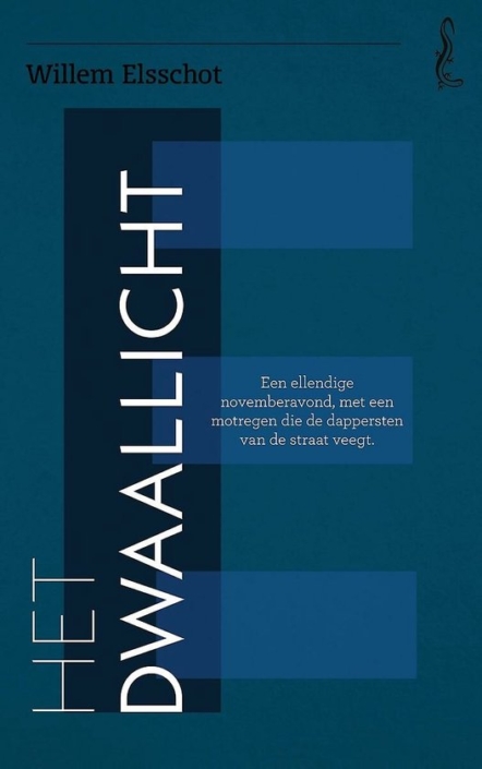 Dwaallicht