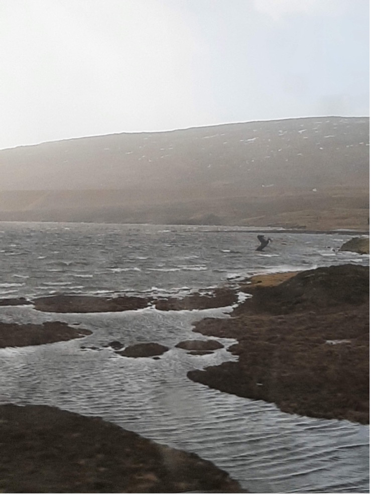 Eiland