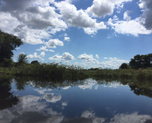 Okavangodelta