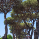 Standplaats Rome