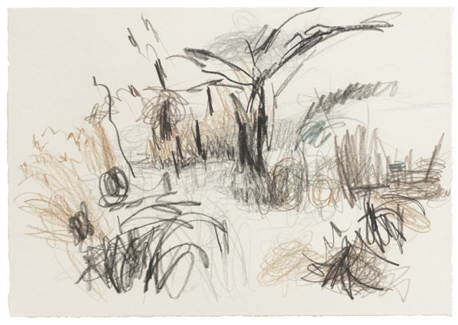 tekening2dommel