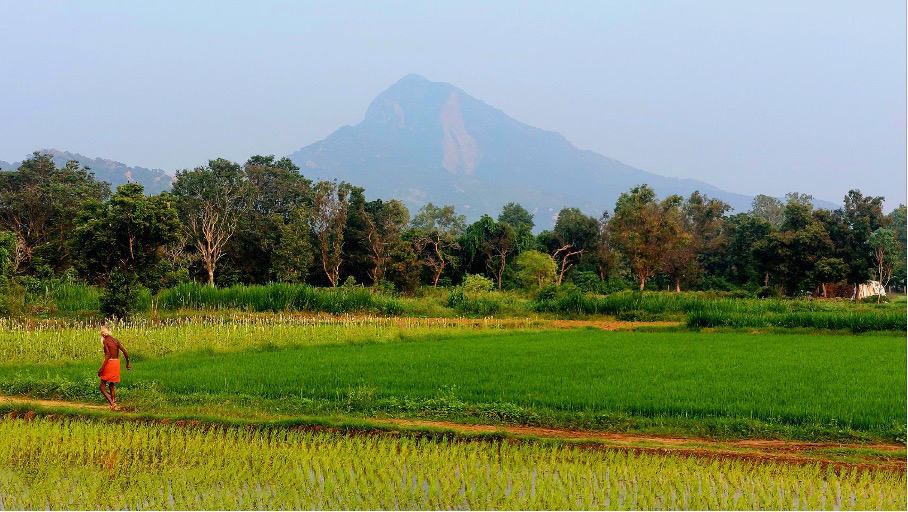 Tiruvannamalai4