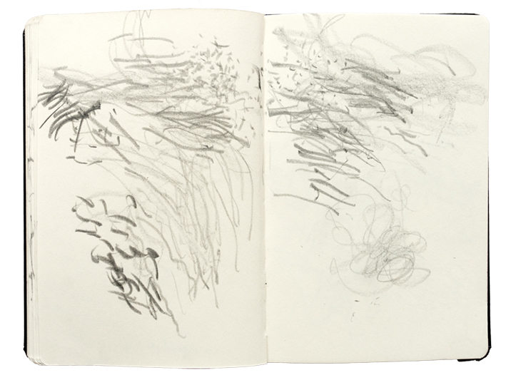 standplaatsdedommelB