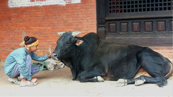 vandenbroeke vandenbroeke