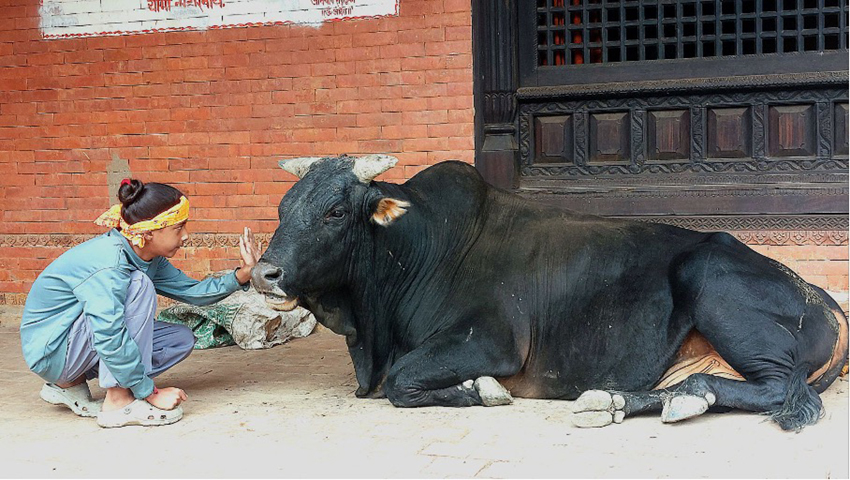 vandenbroeke vandenbroeke